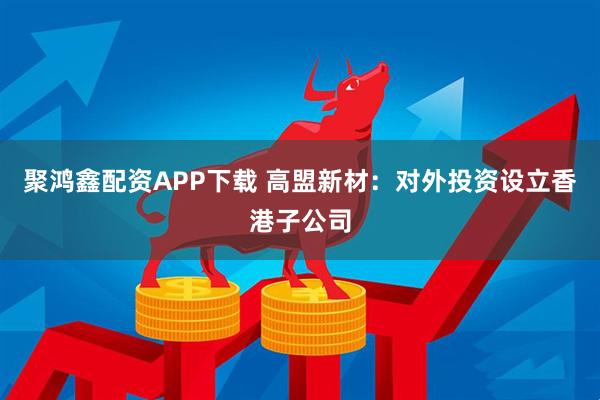 聚鸿鑫配资APP下载 高盟新材：对外投资设立香港子公司